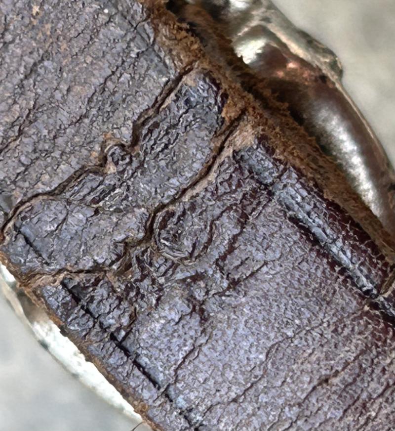 A MOST UNUSUALLY MARKED SA DAGGER HANGER.